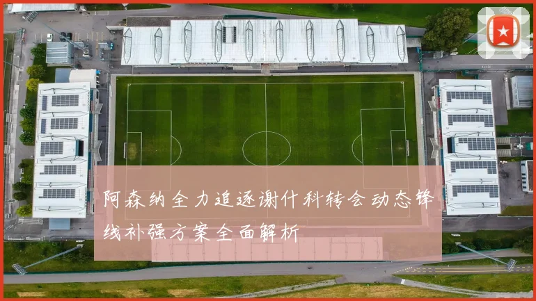 阿森纳全力追逐谢什科转会动态锋线补强方案全面解析